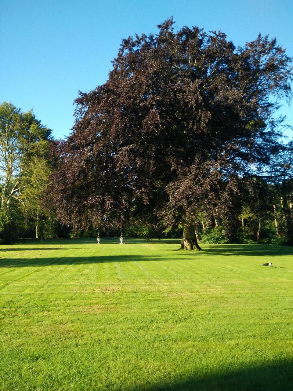 Dronninglund Slot Exterior foto